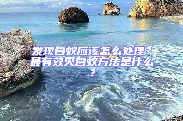 發現白蟻應該怎么處理？最有效滅白蟻方法是什么？