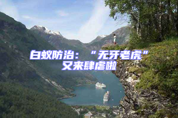 白蟻防治：“無牙老虎”又來肆虐啦