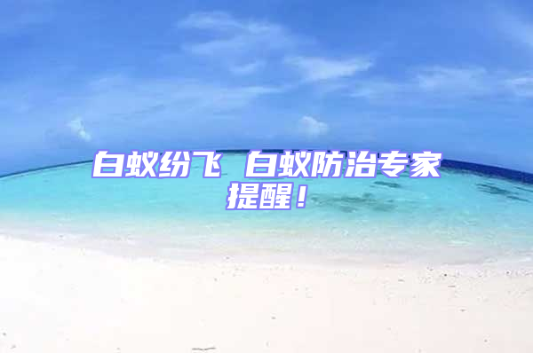 白蟻紛飛 白蟻防治專家提醒！