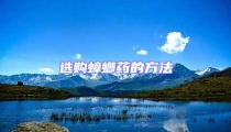 選購(gòu)蟑螂藥的方法