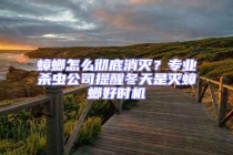 蟑螂怎么徹底消滅？專業殺蟲公司提醒冬天是滅蟑螂好時機