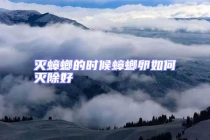 滅蟑螂的時(shí)候蟑螂卵如何滅除好