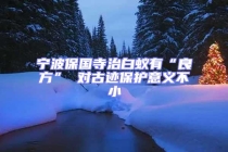 寧波保國寺治白蟻有“良方” 對(duì)古跡保護(hù)意義不小