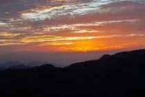 殺蟲公司的專業團隊支持