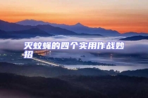 滅蚊蠅的四個實用作戰妙招