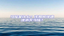馬陸是什么？該如何快速地消滅馬陸？