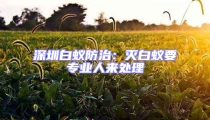 深圳白蟻防治：滅白蟻要專業(yè)人來處理