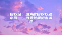 白蟻站：因為散白蟻蟻路小而骫骳，尋覓蟻巢相當艱難