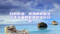 白蟻防治：成熟的蟻群會(huì)產(chǎn)生大量的繁殖蟻進(jìn)行分群