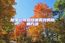 除蟲公司總結最有效的除螨方法