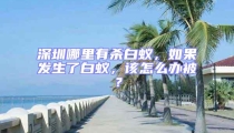 深圳哪里有殺白蟻，如果發(fā)生了白蟻，該怎么辦被？