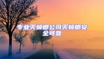 專業(yè)滅蟑螂公司滅蟑螂安全可靠