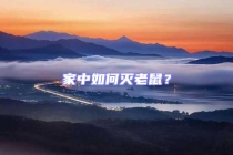 家中如何滅老鼠？