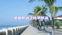 老鼠防治之化學(xué)防治
