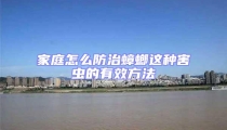 家庭怎么防治蟑螂這種害蟲的有效方法