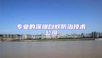 專業(yè)的深圳白蟻防治技術公司