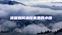 潔保如何清除家里的小強(qiáng)