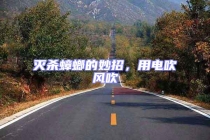 滅殺蟑螂的妙招，用電吹風(fēng)吹