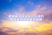 老鼠癇多選擇在什么地方如何鑒別洞內(nèi)是否有鼠