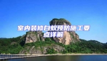 室內(nèi)裝修白蟻預(yù)防施工要點詳解