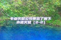 專業滅鼠公司帶您了解下水道滅鼠（2-2）