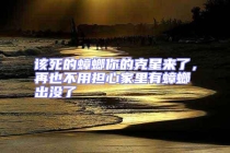 該死的蟑螂你的克星來了，再也不用擔(dān)心家里有蟑螂出沒了