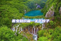 害蟲知識(shí)篇--關(guān)于蚊子