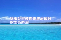 除蟲公司教你家里出現螞蟻怎么防治