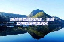 宿舍有老鼠不用慌，滅鼠公司教你快速消滅