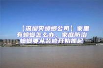 【深圳滅蟑螂公司】家里有蟑螂怎么辦，家庭防治蟑螂要從裝修開始抓起