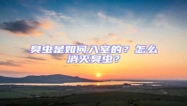 臭蟲是如何入室的？怎么消滅臭蟲？