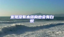 發(fā)現(xiàn)沒有木結(jié)構(gòu)也會(huì)有白蟻
