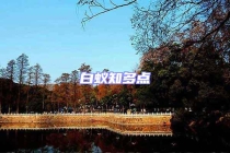 白蟻知多點(diǎn)