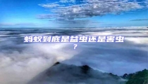 螞蟻到底是益蟲還是害蟲？