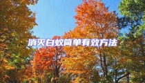 消滅白蟻簡單有效方法