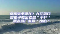 食品安全何在？九江落口香瓜子吃出老鼠＂干尸＂ 網友問廠家要＂良心＂