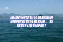 深圳白蟻防治公司教你遇到白蟻該如何去處理，處理的方法有那些？