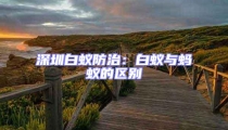 深圳白蟻防治：白蟻與螞蟻的區別