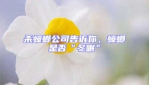 殺蟑螂公司告訴你，蟑螂是否“冬眠”