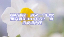 即時播報：消滅一個白蟻巢穴要花3000元？ 高價嚇退市民
