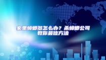 家里蟑螂多怎么辦？殺蟑螂公司教你最佳方法