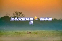 怎么滅鼠環保 - 精華知識