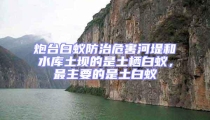 炮臺(tái)白蟻防治危害河堤和水庫土壩的是土棲白蟻，最主要的是土白蟻