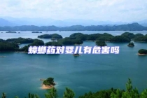 蟑螂藥對嬰兒有危害嗎