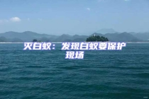 滅白蟻：發現白蟻要保護現場