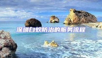 深圳白蟻防治的服務(wù)流程