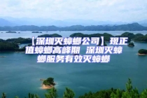 【深圳滅蟑螂公司】現正值蟑螂高峰期 深圳滅蟑螂服務有效滅蟑螂