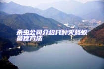 殺蟲公司介紹幾種滅螞蟻?zhàn)罴逊椒? uk-img class=