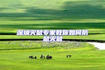 深圳滅鼠專家教你如何防鼠滅鼠