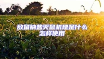 敵鼠鈉鹽滅鼠機(jī)理是什么怎樣使用
